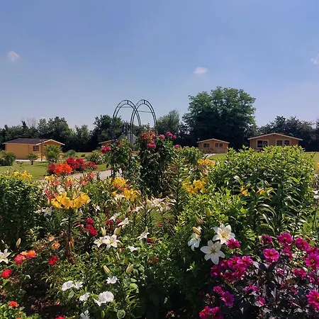 Domaine De Soignolles