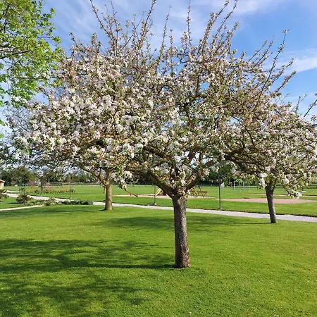 Domaine De ゲストハウス