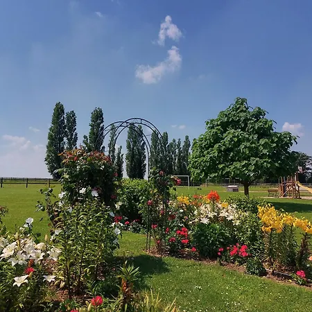 Domaine De *