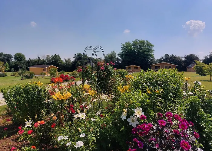 Domaine De Soignolles