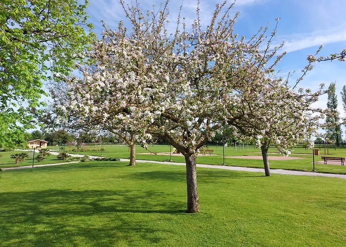 Domaine De Maison d'hôtes