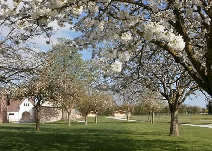 Domaine De Maison d'hôtes *